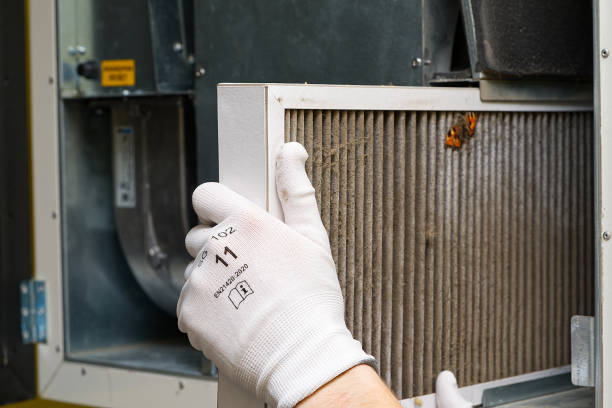 Best Air Filter Replacement Services in USA